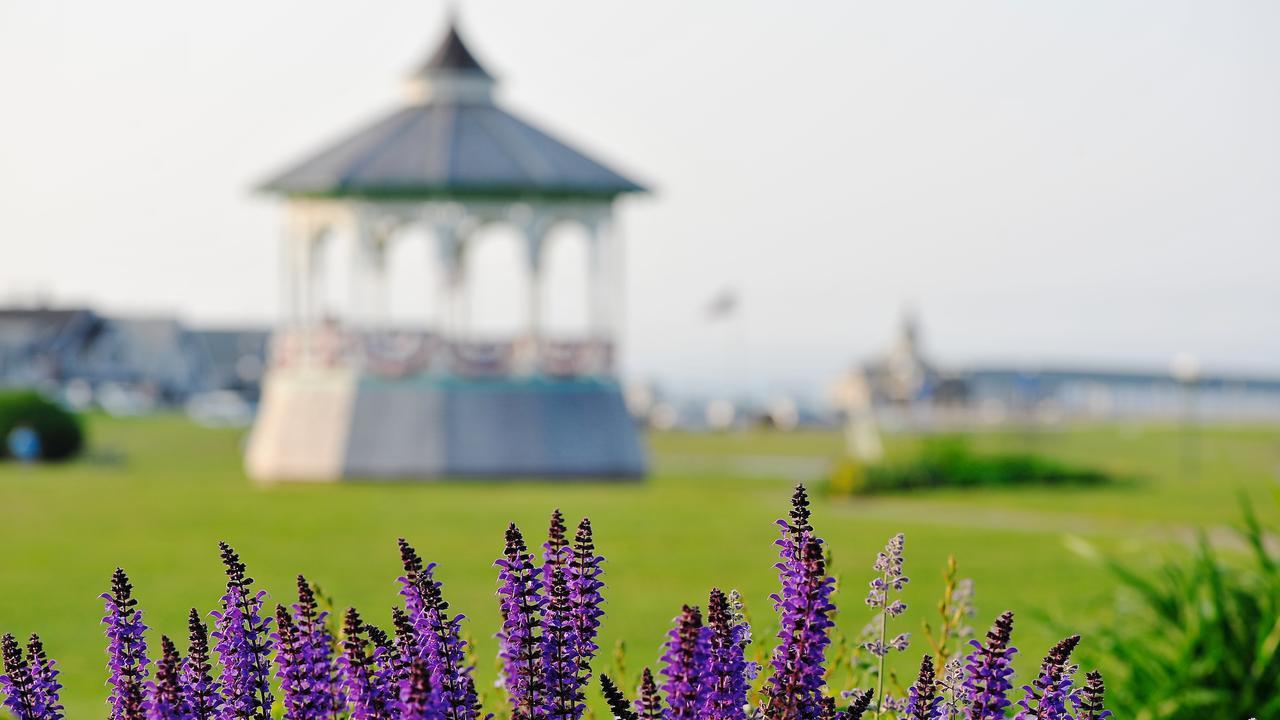 Pequot Hotel Oak Bluffs Kültér fotó
